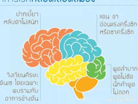 สำหรับรูนแรง วิตามินเพิ่มความแข็งแรงของผู้ชาย