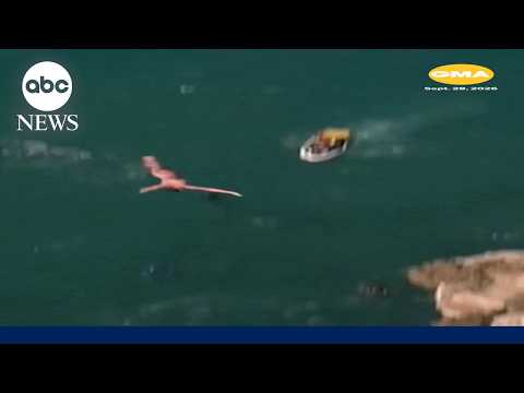 Cliff Diving World Series hands out top titles