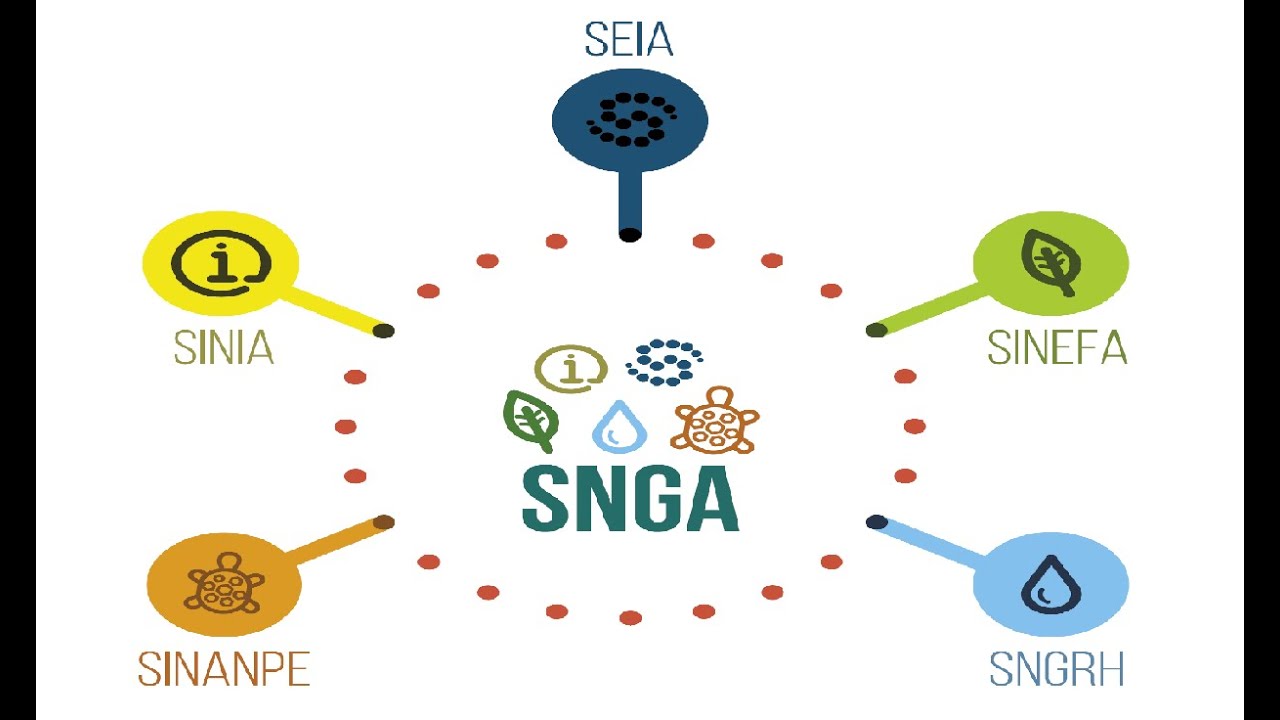 Introducción a la Institucionalidad Ambiental (SEIA: MINAM, Senace y las autoridades sectoriales)
