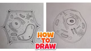 how to Draw Plant and Animal Cell Diagram Drawing 