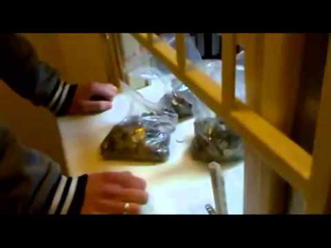 Jak powinno się płacić mandaty / how to pay for the mandate