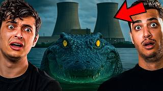 Por Que Crocodilos Vivem Em Usina Nuclear?