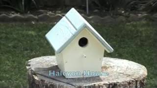 preview picture of video 'Halcyon House Vacation rental, Austin, TX'