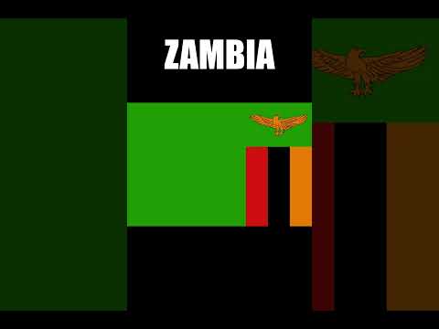 Fixing FLAGS! #1 #shorts