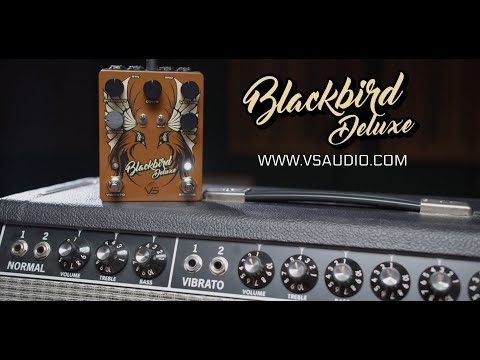 Vs Audio VS Audio BlackBird Deluxe Preamp & Bias Tremolo image 4