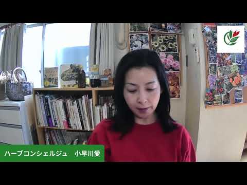 医療ビジネス薬科学科 いよいよ明日からスタート！「ハーブでいきいきライフ」