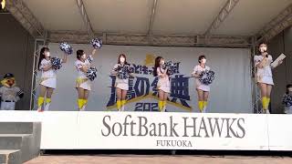 ハニーズ紹介！ちょっと下目線?