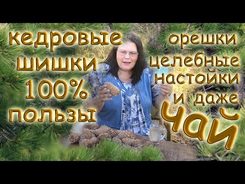 Турмалин для лечения спины Окостенение ядра тазобедренных суставов возраст