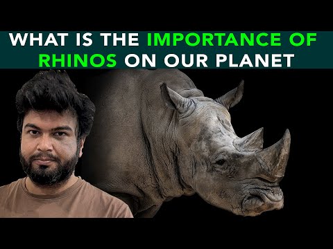 What Is The Importance Of Rhinos On Our Planet | Anuj Ramatri - An EcoFreak
