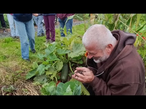 Hervé Coves. Vie du sol, mycorhizes et biodiversité 25/09/2025