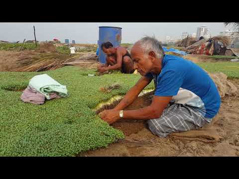 Integrated Farming thumbnail