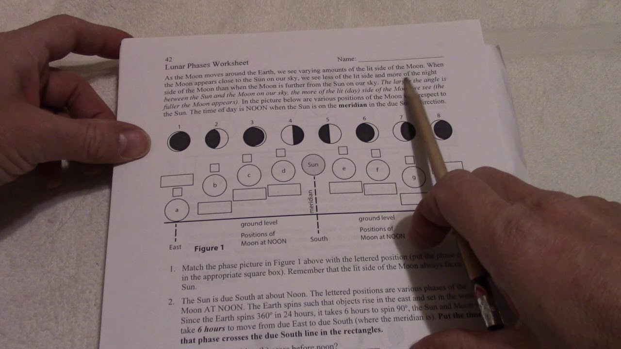 Lunar Phases worksheet