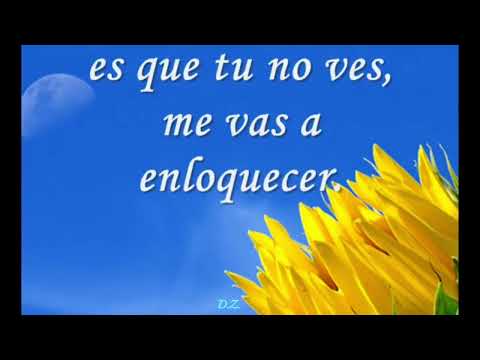 25horas al Dia -  Proyecto Uno (letra)