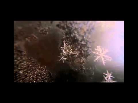 The Creation of a Snowflake (Snowflake forming) w/ black border