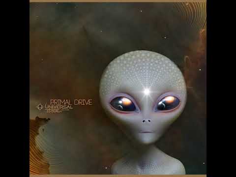 01 Input Output - Paradoxic Paradigm