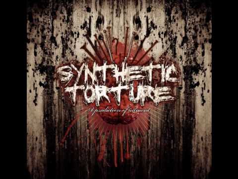 Synthetic Torture - System of Malevolence