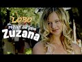 Suzanna - LOBO ISMAIL (Official Video ) سوزانا لوبو اسماعيل - LOBO ISMAIL MUSIC Suzanna - LOBO ISMAIL (Official Video ) سوزانا لوبو اسماعيل