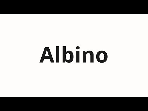How to pronounce Albino