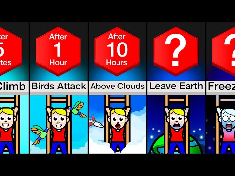 Timeline: What If You Climbed A Ladder Forever?