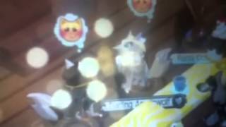 Animal jam wrecking ball