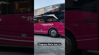Download lagu SHANTIKA #Shantika #Bus #Busmania #MuriaRaya #Automobile #SleeperBus #Adiputro #Jetbus5 #Short #FYP mp3 Download lagu SHANTIKA #Shantika #Bus #Busmania #MuriaRaya #Automobile #SleeperBus #Adiputro #Jetbus5 #Short #FYP mp3