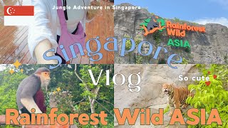 【レインフォレスト・ワイルド・アジア🇸🇬】シンガポール新スポットで冒険体験！熱帯雨林で出会う動物たち🐯 | 洞窟ランチ体験👩🏻‍🍳🪨