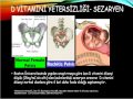 D VITAMINI
