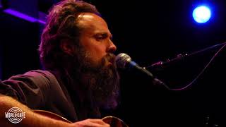 Iron and Wine - "Bitter Truth" (Recorded Live for World Cafe)