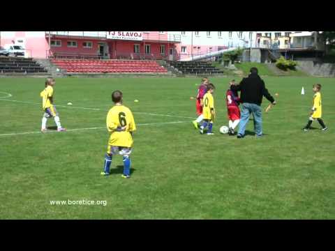 Fotbalový zápas 1/6/2013 Velke Pavlovice vs. Hlohovec