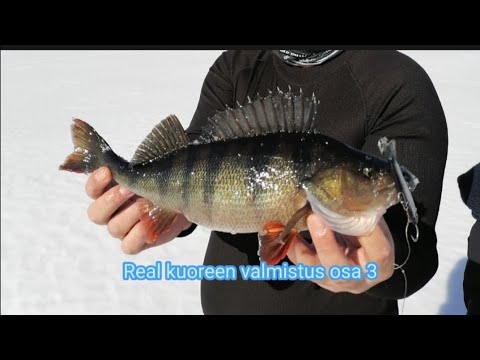 real kuoreen valmistus osa 3