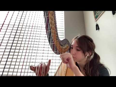Promotional video thumbnail 3 for Wedding & Special Event Musician