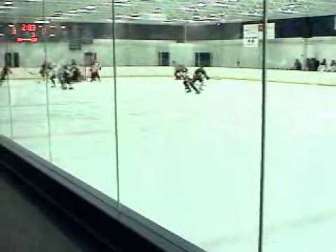 Cheapest Hockey Hit in the History of the Game