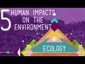 5 Human Impacts On The Environment Crash Course Ecology 10