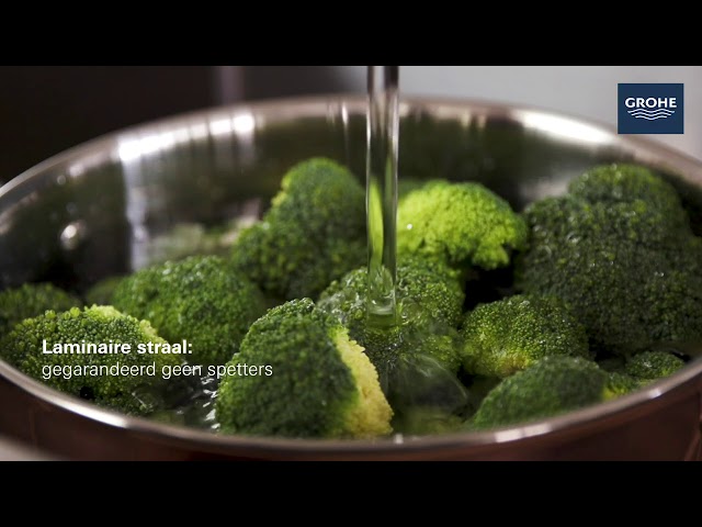 خلاط مطبخ سحاب كروم زيدرا جروهي / GROHE