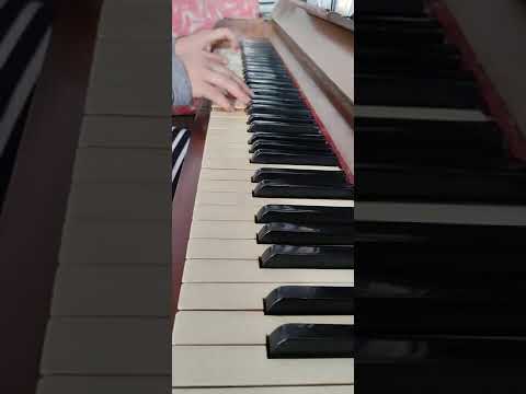 Hino 15 em Italiano - Tiele & Denise