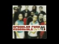 Brooklyn Funk Essentials - I Got Cash