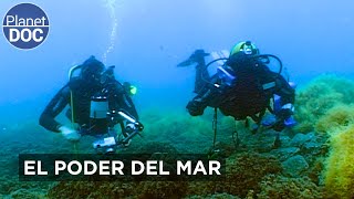 Thumbnail del capítulo