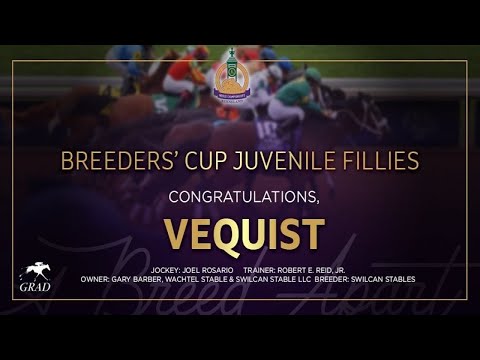 $2M Breeders' Cup Juvenile Fillies: Vequist