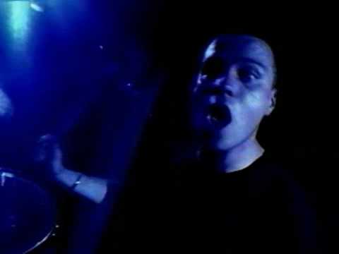 Fall into Place video thumbnail