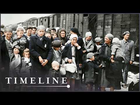 What Were The Final Months Inside Auschwitz-Birkenau Like?