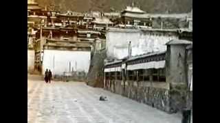 preview picture of video 'Tibetan Odyssey - Tashilhunpo Monastery (100)'