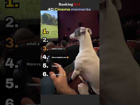 Ranking the Best 4D Cinema Moments 🎬💥 (Top 5)- part 2