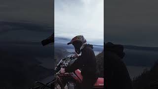 Download lagu tante tante culik aku dong mp3 Download lagu tante tante culik aku dong mp3