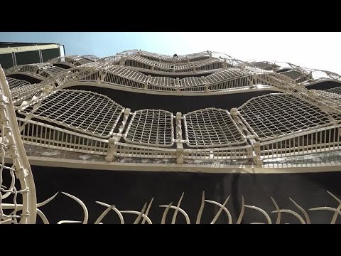 高迪的巴特羅之家修復工程發現了隱藏的特色 | REUTERS (Gaudí’s Casa Batllo restoration uncovers hidden features | REUTERS)