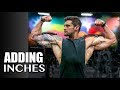 BIGGER ARMS For UNDER $3 | ARM DAY Mass Building (Biceps & Triceps) | Lex Fitness