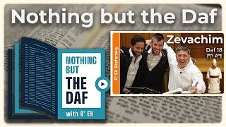 חזרא - זבכים דף 18 | "Nothing But the Daf" עם הרב אלי סטפנסקי