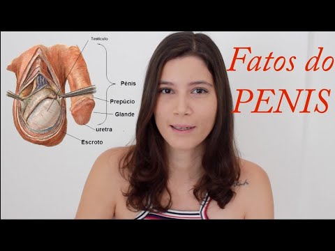 Ce alimente afectează dimensiunea penisului