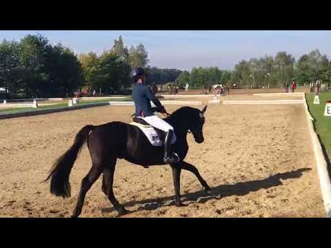 Top Athlet für Vielseitgkeit / Hunter