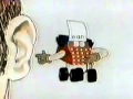 Sesame Street Typewriter Guy E For Ear
