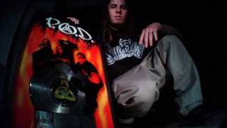 Tribal Seeds - Warning (Feat. Sonny Sandoval of P.O.D.)
